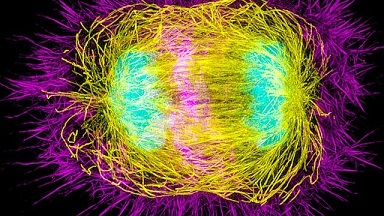 尼康生物影像中心SIM超高分辨率顯微鏡上機培訓通知