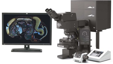 細胞生物學平臺Olympus激光共聚焦顯微鏡FV3000培訓通知