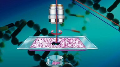 細胞影像平臺激光顯微切割系統上機培訓通知