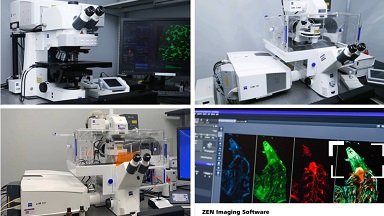 共享儀器平臺共聚焦顯微鏡系列線上培訓通知（四）