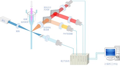 細胞功能分析平臺流式細胞術細胞分析實用知識線上培訓通知