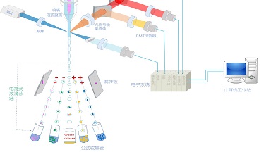 細胞功能分析平臺流式細胞分選技術實用知識線上培訓通知