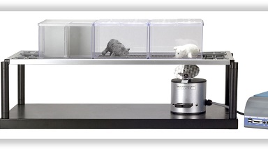 實驗動物中心電子爪觸覺測痛儀上機培訓通知