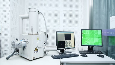 細胞生物學平臺電鏡機組掃描電子顯微鏡培訓通知