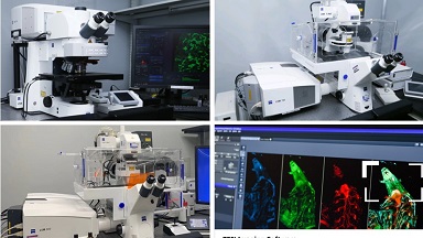 共享儀器平臺共聚焦顯微鏡系列培訓（二）通知
