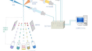 細胞功能分析平臺流式細胞分選技術實用知識線上培訓通知