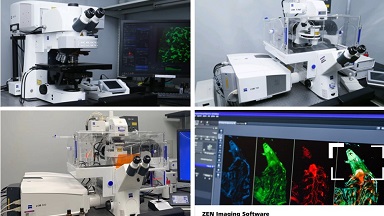 共享儀器平臺共聚焦顯微鏡系列培訓（三）通知
