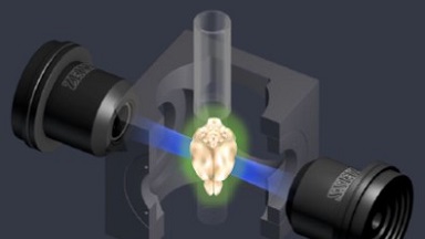 共享儀器平臺Zeiss Lightsheet Z.1激光片層掃描顯微鏡上機培訓