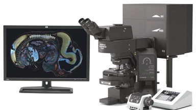 細胞生物學平臺Olympus激光共聚焦顯微鏡FV3000上機培訓通知