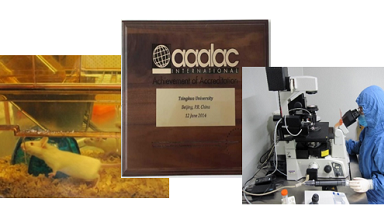 實驗動物中心第三期小鼠胚胎操作培訓會通知