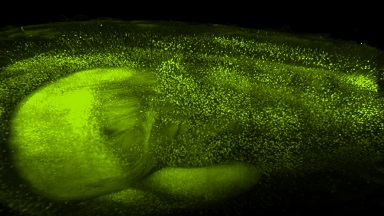 共享儀器平臺組織透明化技術線上培訓通知