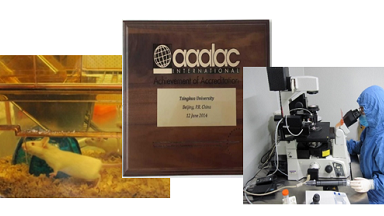 實驗動物中心第三期小鼠胚胎操作培訓通知