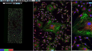 細胞生物學平臺3DHISTECH玻片掃描系統培訓通知