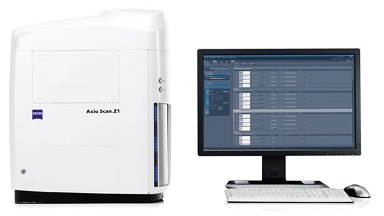 細胞生物學平臺Zeiss全自動數字玻片掃描系統上機培訓通知
