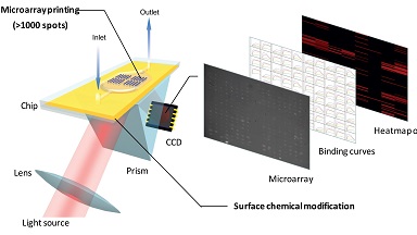 蛋白質制備與鑒定平臺高通量SPRi線上培訓通知