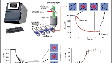 蛋白質制備與鑒定平臺微量熱泳動儀培訓通知