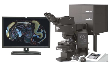 細胞生物學平臺Olympus激光共聚焦顯微鏡FV3000上機培訓通知