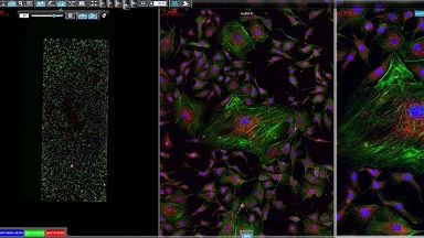 細胞生物學平臺3DHISTECH玻片掃描系統培訓通知
