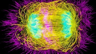 尼康生物影像中心SIM超高分辨率顯微鏡上機培訓通知