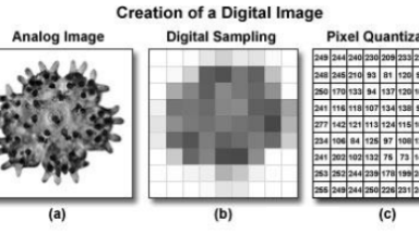 細胞生物學平臺光學成像技術線上專題系列講座（二）通知