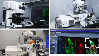 共享儀器平臺Zeiss共聚焦顯微鏡線上培訓通知