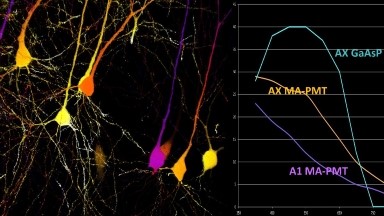 尼康生物影像中心超分辨AX R激光共聚焦顯微鏡上機培訓通知