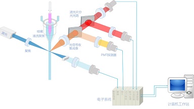 細胞功能分析平臺流式細胞術細胞分析實用技術培訓通知