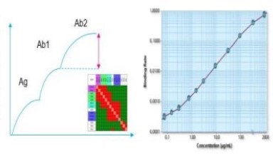 蛋白質制備與鑒定平臺生物層干涉分子互作儀BLI培訓通知