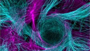 細胞影像平臺轉盤共聚焦顯微鏡上機培訓通知