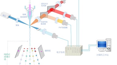 細胞功能分析平臺流式細胞術細胞分選實用技術培訓通知
