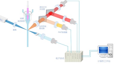 細胞功能分析平臺流式細胞術細胞分析實用技術培訓通知