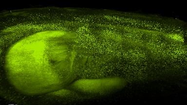 共享儀器平臺組織透明化技術線上培訓通知