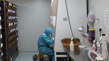 實驗動物中心ABSL-2動物生物安全培訓通知