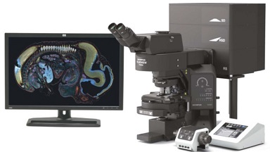 細胞生物學平臺Olympus激光共聚焦顯微鏡FV3000上機培訓通知