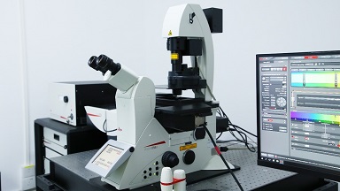 共享儀器平臺Leica SP8 STED 超高分辨共聚焦顯微鏡培訓通知