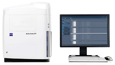 細胞生物學平臺Zeiss全自動數字玻片掃描系統上機培訓通知