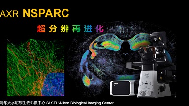 尼康生物影像中心AXR NSPARC 超分辨率激光掃描共聚焦顯微鏡線上培訓通知
