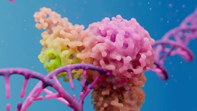 細胞生物學平臺“動態單分子成像”研討會 “熒光-光鑷系統在細胞與分子生物學研究中的應用”