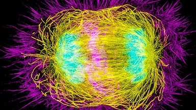 尼康生物影像中心SIM超高分辨率顯微鏡上機培訓通知