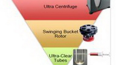 蛋白質制備與鑒定平臺制備型超速離心機培訓通知