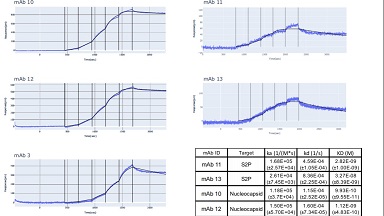 蛋白質制備與鑒定平臺全自動高通量分子相互作用分析儀Alto儀器培訓通知