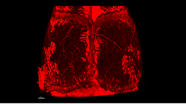 共享儀器平臺組織透明化技術線上培訓通知