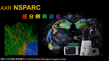 尼康生物影像中心AXR NSPARC 超分辨率激光掃描共聚焦顯微鏡上機培訓通知