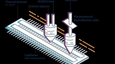蛋白質制備與鑒定平臺Panta蛋白穩定性分析儀培訓通知
