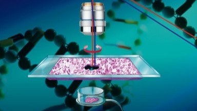 細胞影像平臺激光顯微切割系統技術交流會