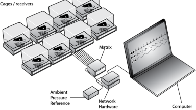 實驗動物中心小動物生理信號遙測系統使用講座培訓通知