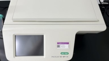 蛋白質制備與鑒定平臺雙向電泳儀器培訓通知