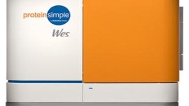 蛋白質制備與鑒定平臺數字式Western Blot儀器培訓通知