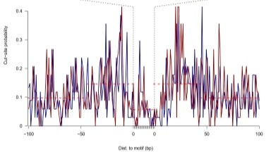 基因測序與分析平臺ATAC-seq/ChIP-seq數據分析培訓通知