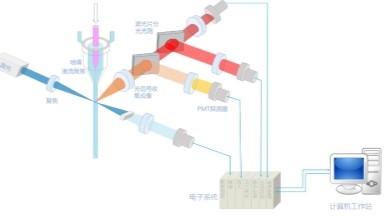 細胞功能分析平臺流式細胞術細胞分析實用技術培訓通知